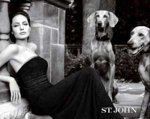 Модный бренд St. John разорвал контракт с Анджелиной Джоли