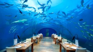 На Мальдивах построили дискотеку в подводных глубинах Индийского океана