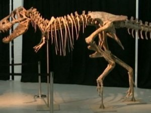 На Новый год можно украсить дом скелетом ящера всего за $100.000